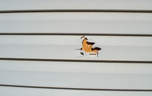 Cost of Siding Hole Repair in Monroe Township